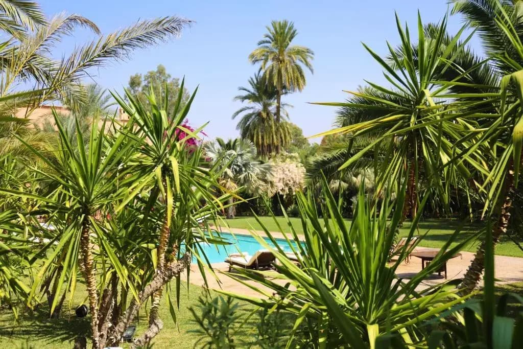 Villa Le Perroquet Bleu - photo 19