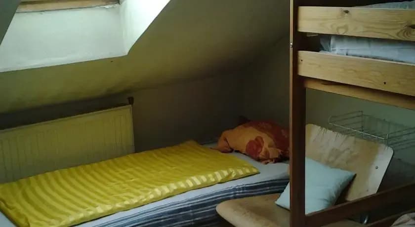Apricot Hostel - photo 3