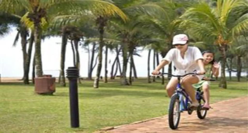 Impiana Resort Cherating - photo 23