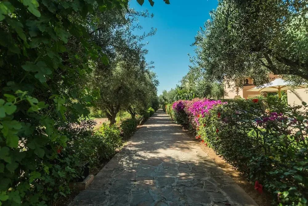 Villa Abalya 22 - photo 17