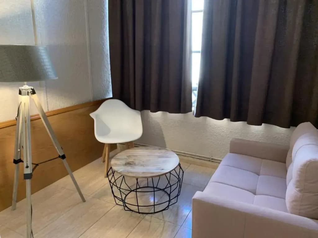 Aneto Hotel - photo 12