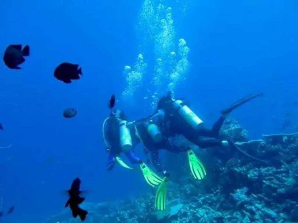 Plus View Maldives - photo 13