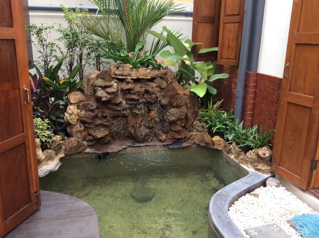 DP House - photo 12