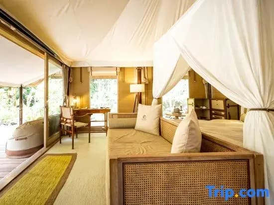 Keikoku Glamping Tent - photo 1