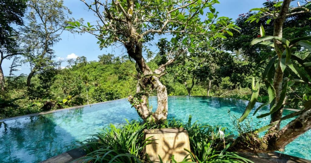 Natura Resort and Spa - photo 11