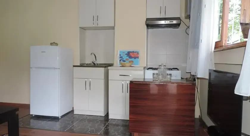 Guest House Dolidze - photo 11