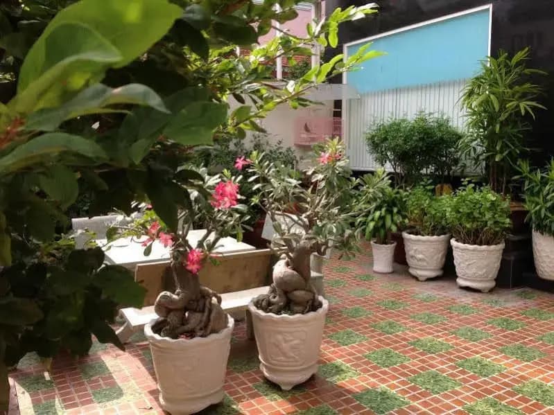 Hoang Cuc Hotel - photo 5