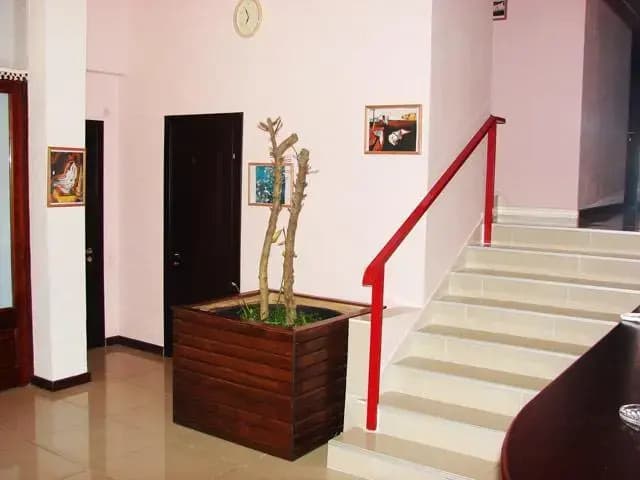 Hotel Skip - photo 8