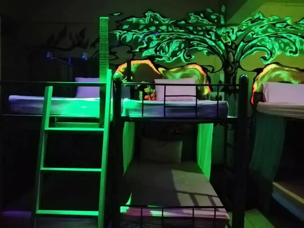 Maddy’s Hostel - photo 17
