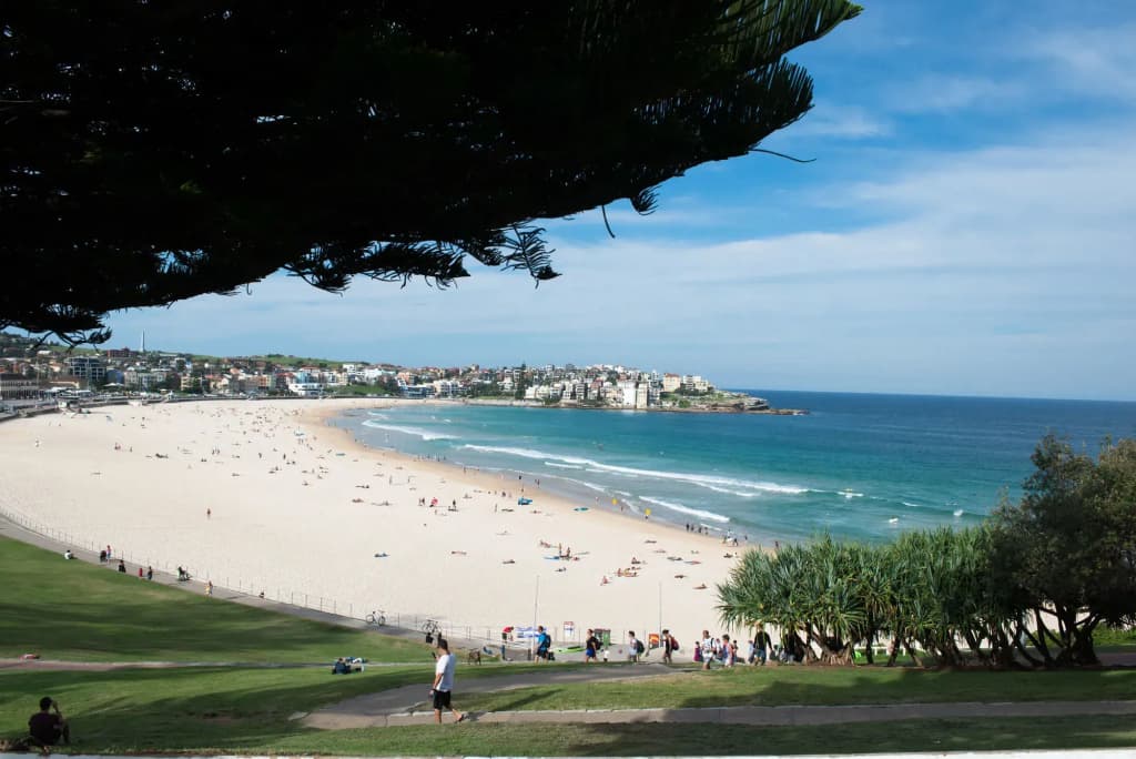 Bondi 38 Serviced Apartments - photo 15
