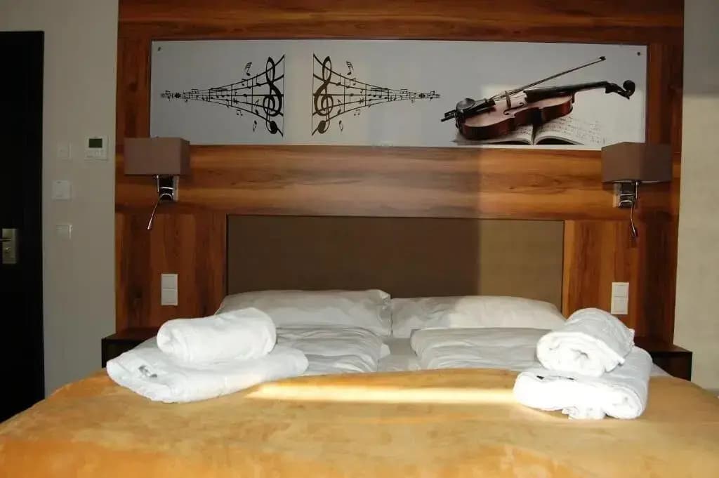 Apollo Hotel Vienna - photo 4