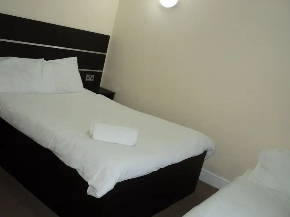 New Globe Hotel - photo 6