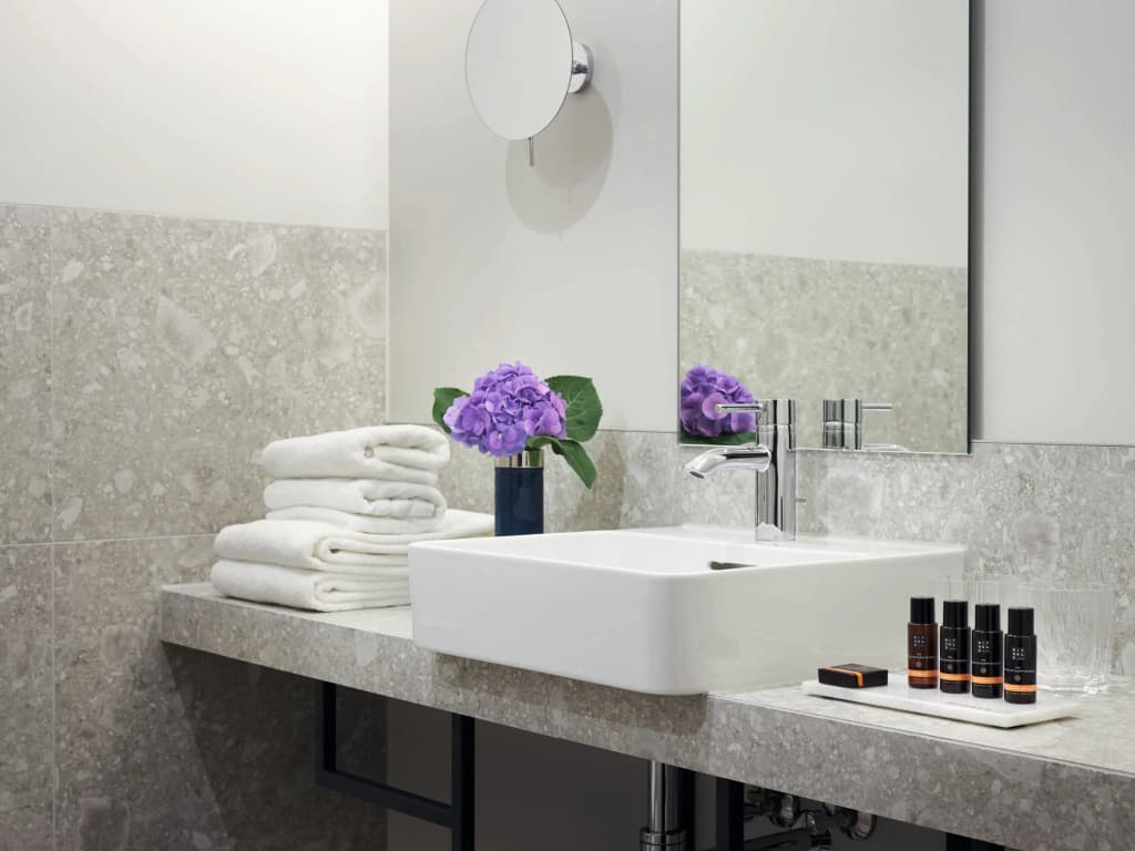 Classik Hotel Alexander Plaza - photo 15