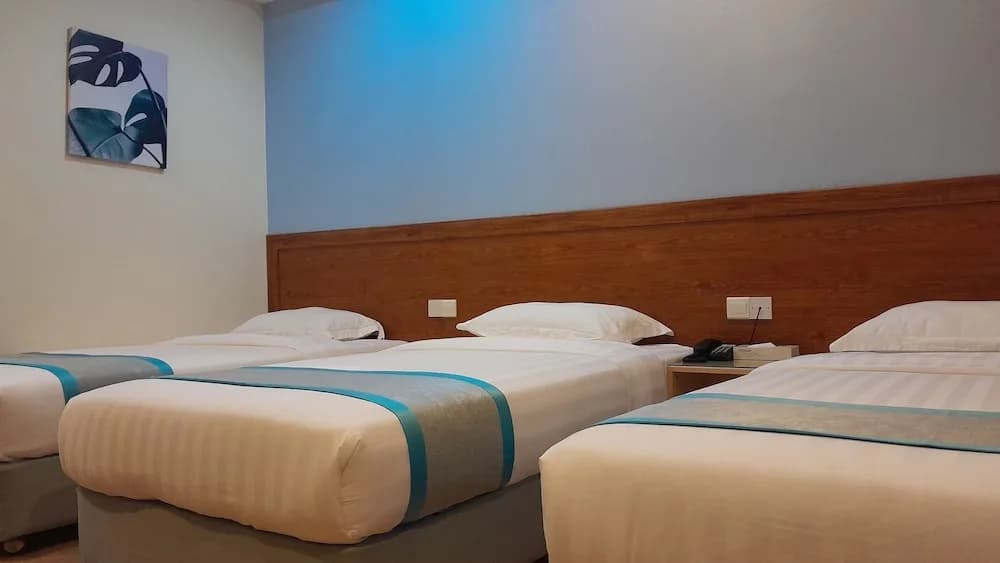 Td Capital Hotel - photo 5