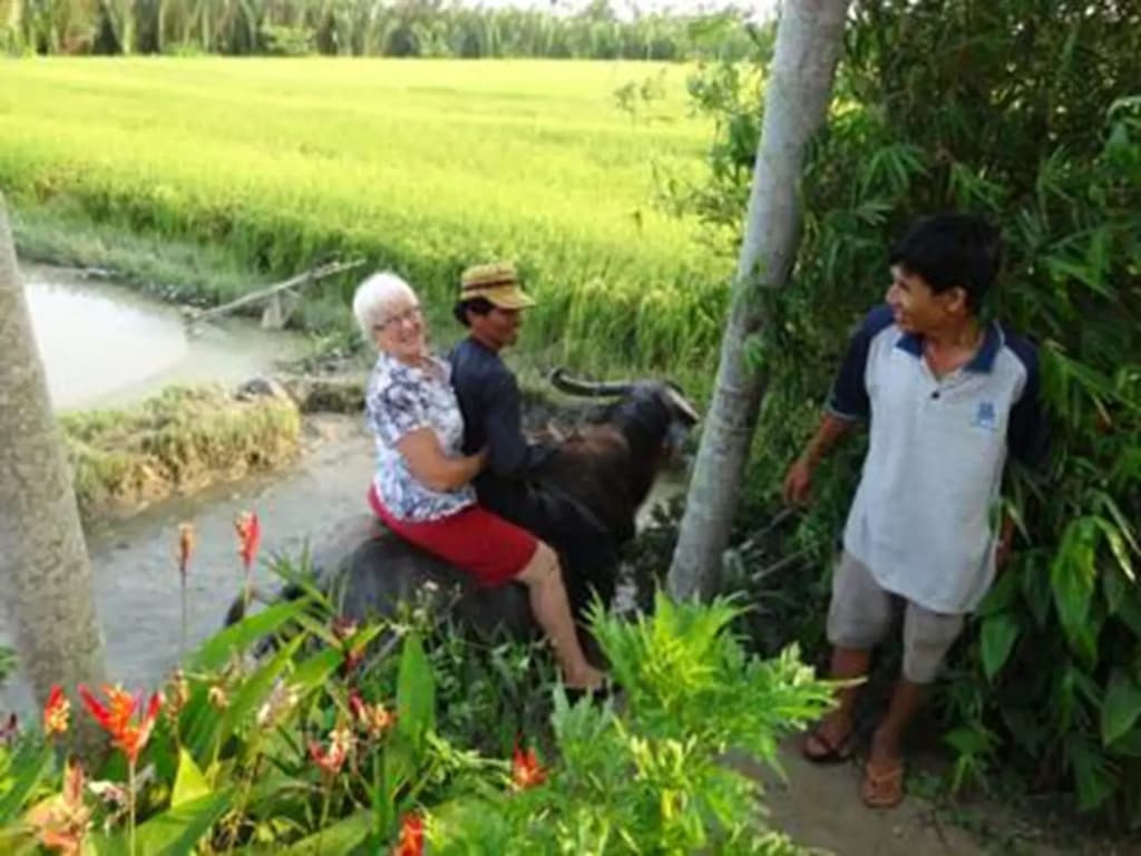 Hoi An Life Homestay - photo 19