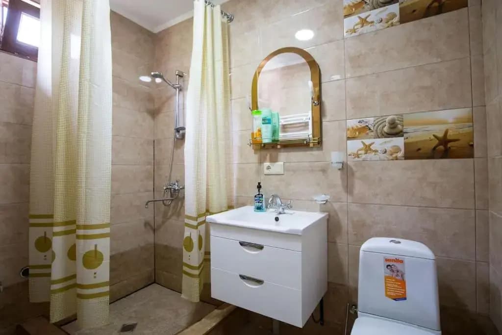Apartment Mano - photo 7