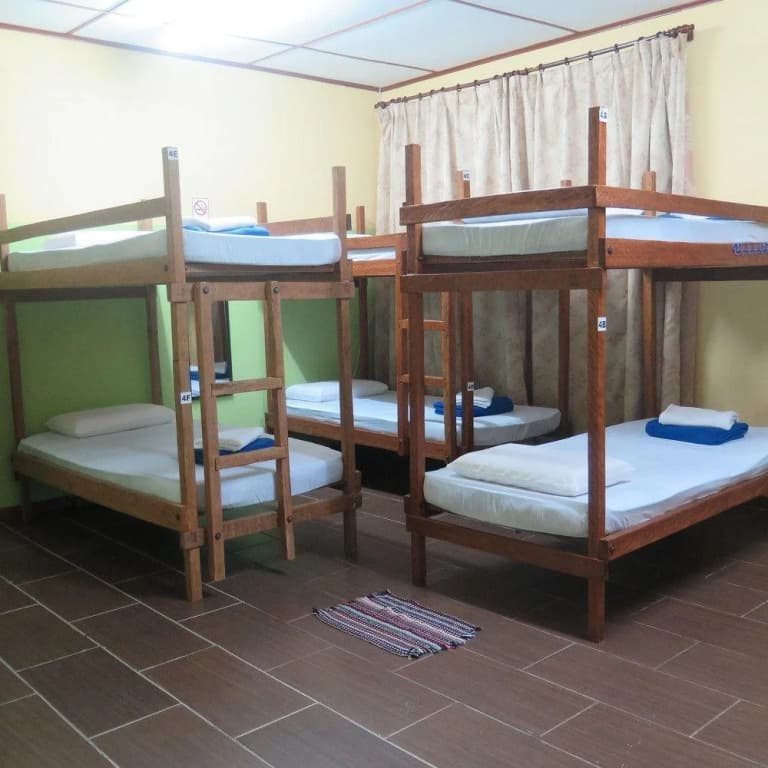 Postar's Backpacker - Hostel - main photo