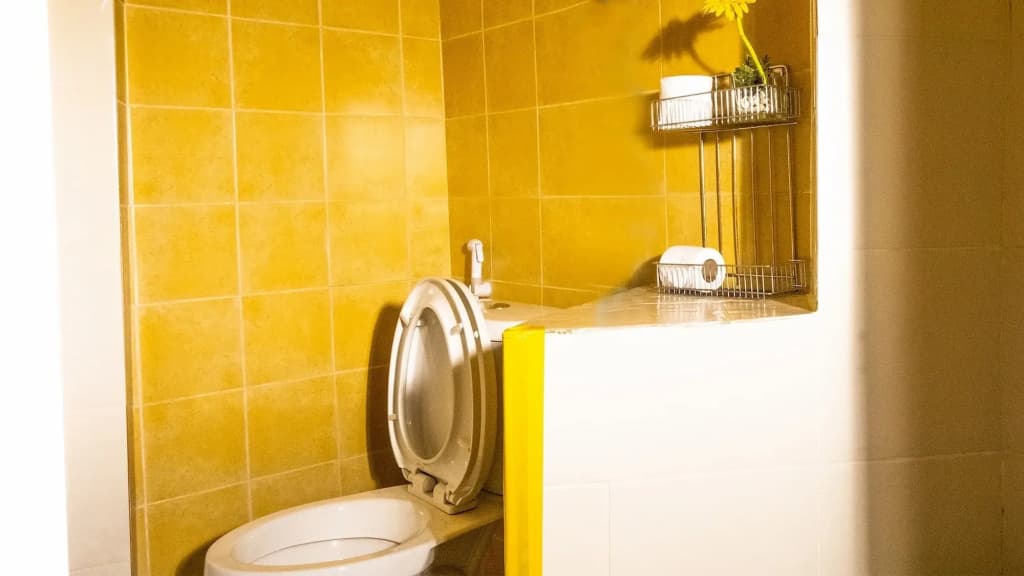 Sabina Guesthouse - photo 8
