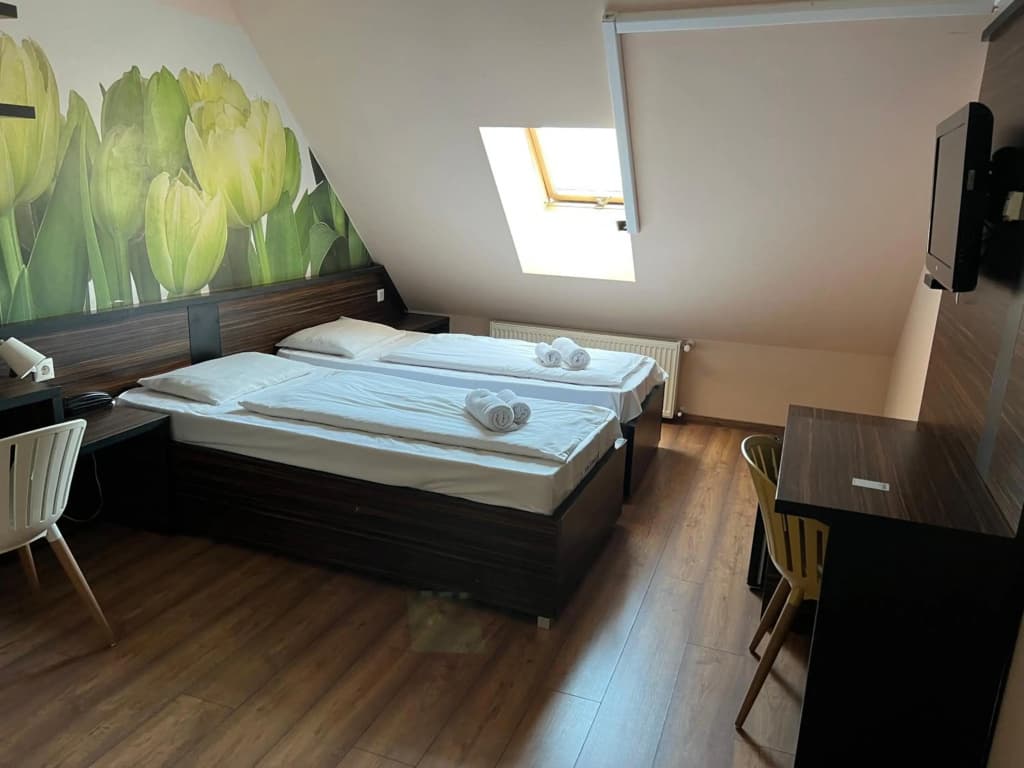 Green Hotel Budapest - photo 27