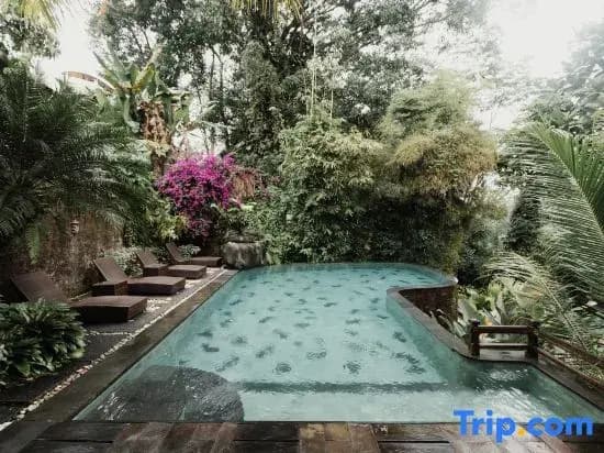 The Iyang Ubud - photo 39