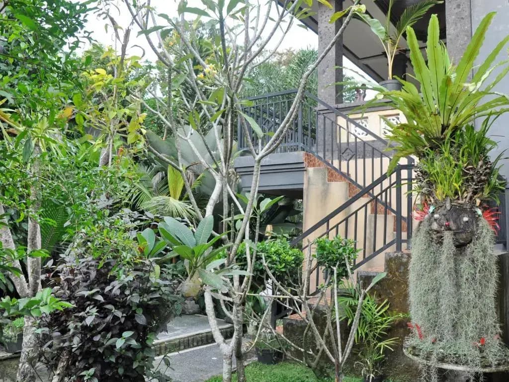Pancer House - photo 9