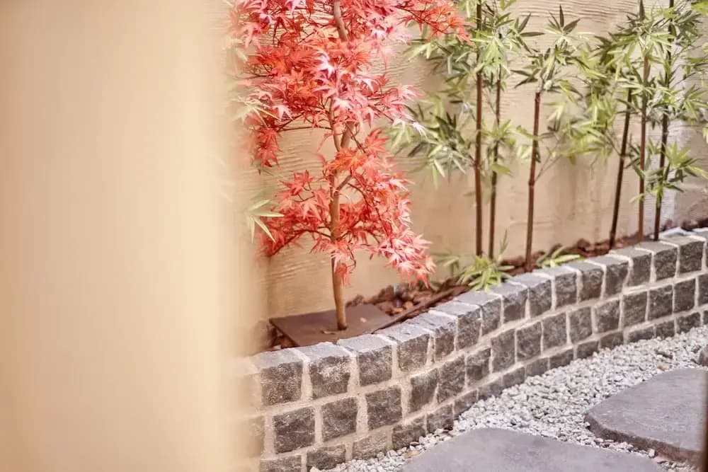 Sakuragawa no kyo - photo 17