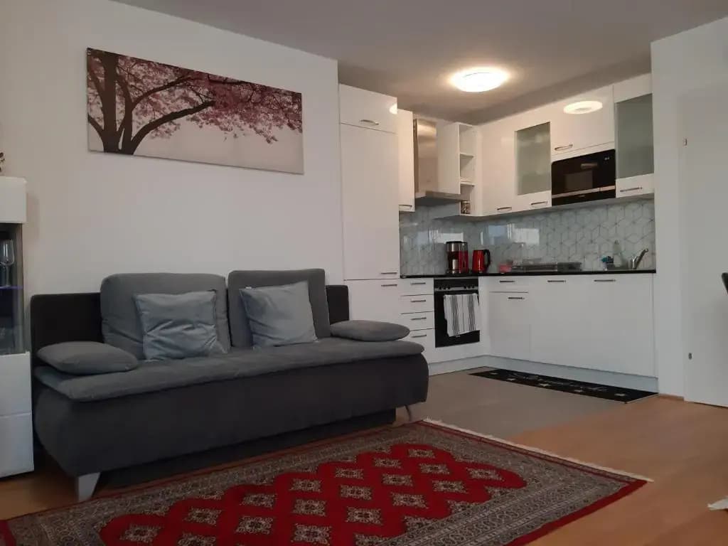 Vienna Lion Apartment - photo 10