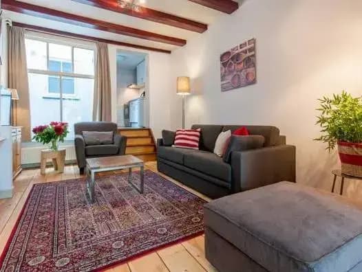 Carre Theater Apartment - photo 5