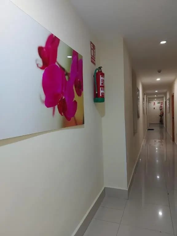 Hostal Moncloa - photo 14