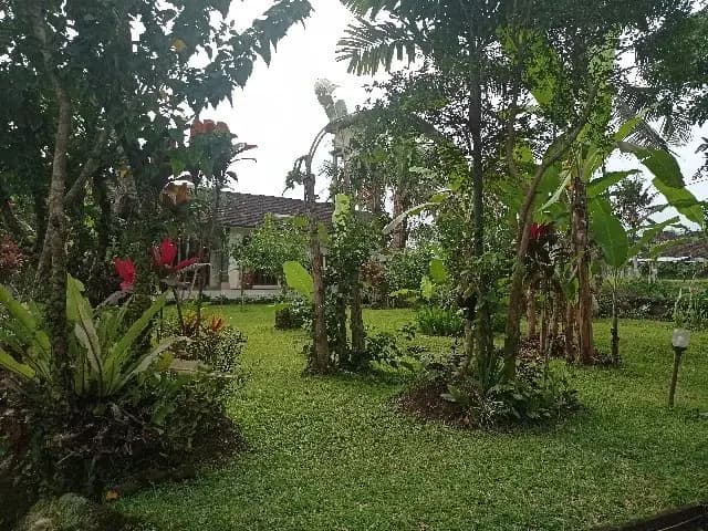 Pande House RedPartner - photo 12