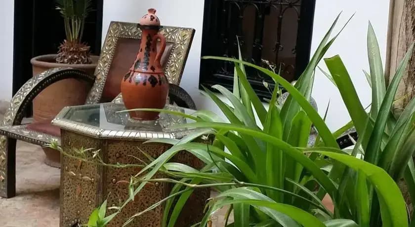 Riad Serine - photo 6