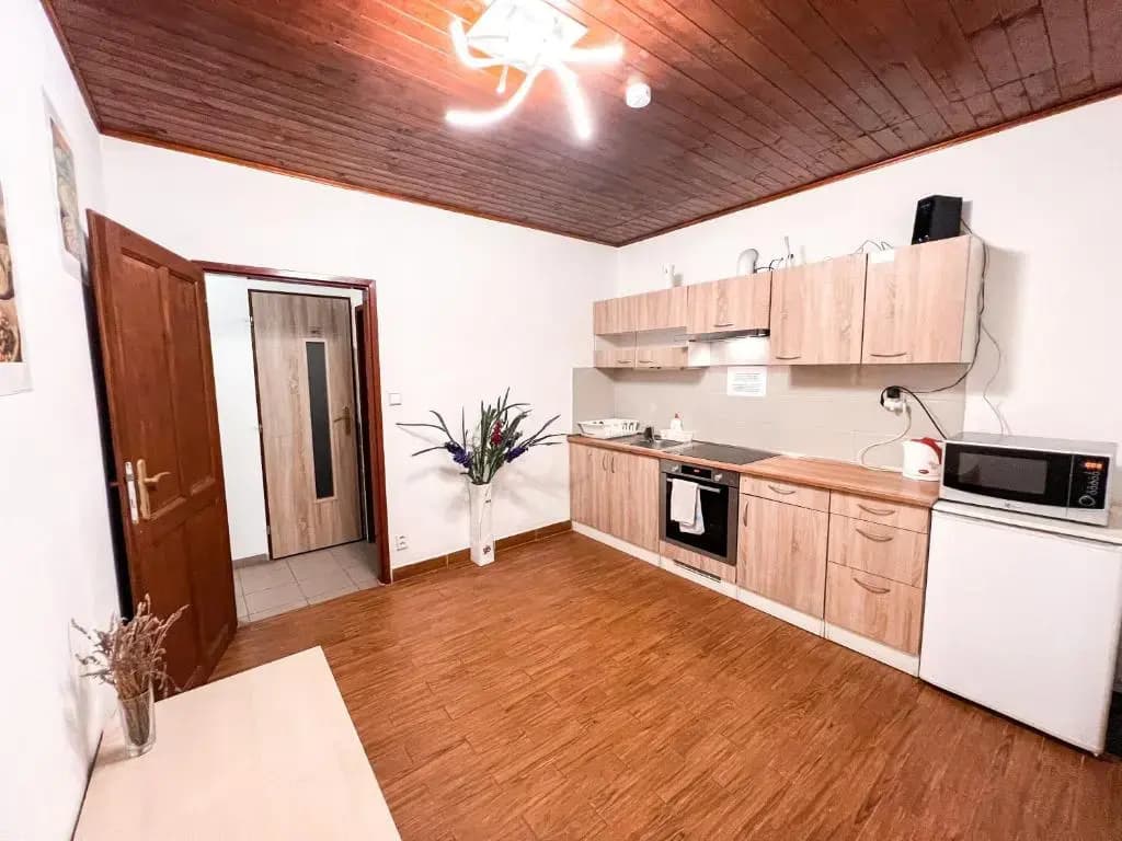 Williams Apartments Prague - photo 12