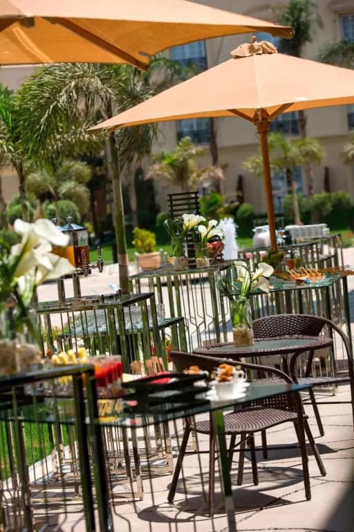 Renaissance Cairo Mirage City Hotel - photo 23