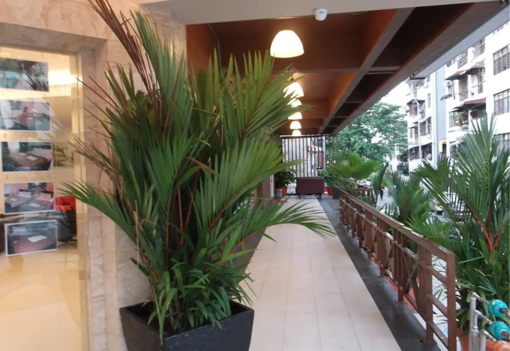 Hotel Bintang - photo 11