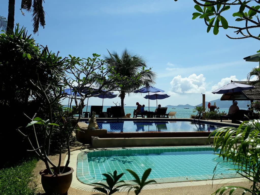 Papillon Resort - photo 19