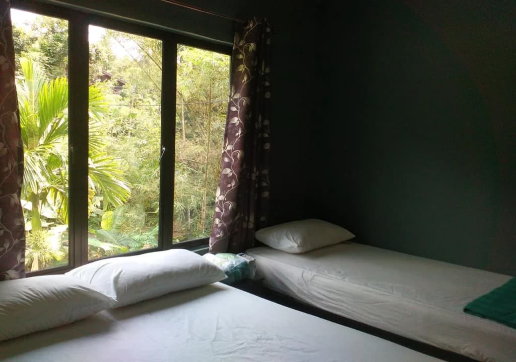 Green Peace Sungai Lembing - photo 3
