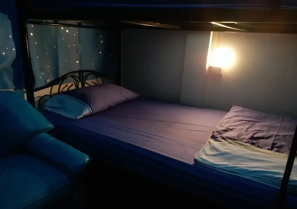 La Maison Verte Hostel - photo 2
