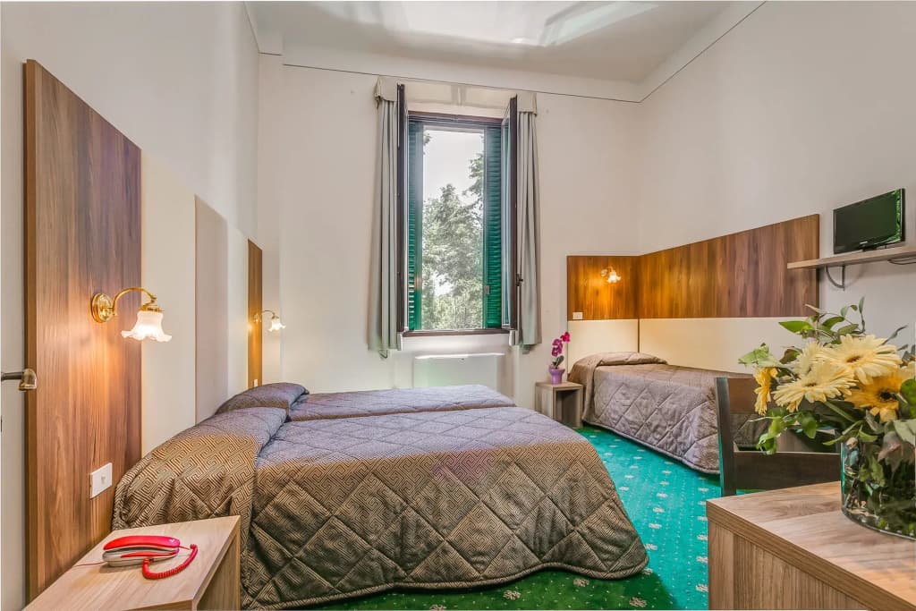 Hotel Arno Bellariva - photo 5