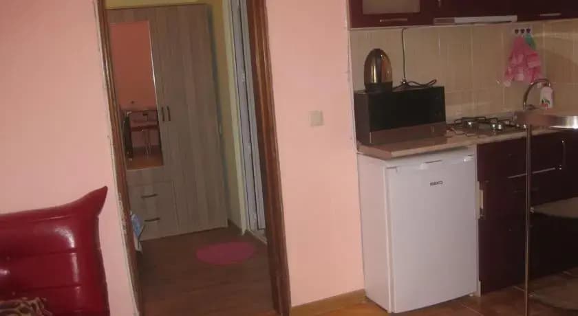 Apartment on Rustaveli avenue - photo 7