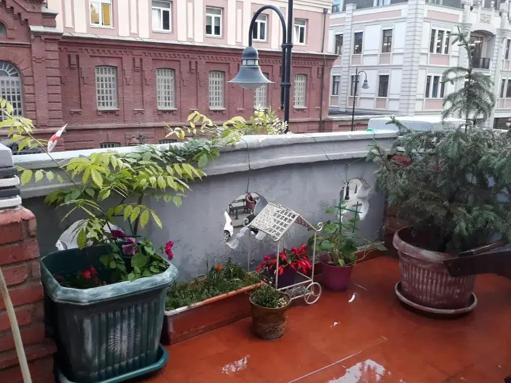 Salve veranda - main photo