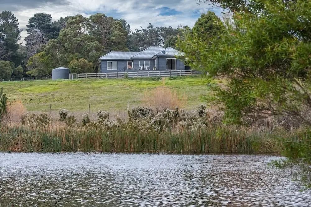Green Olive at Red Hill - main photo