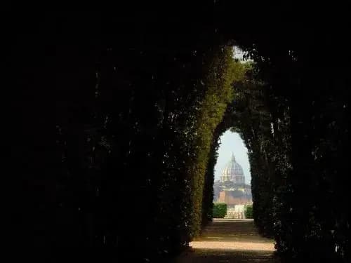 Blue Star - photo 13