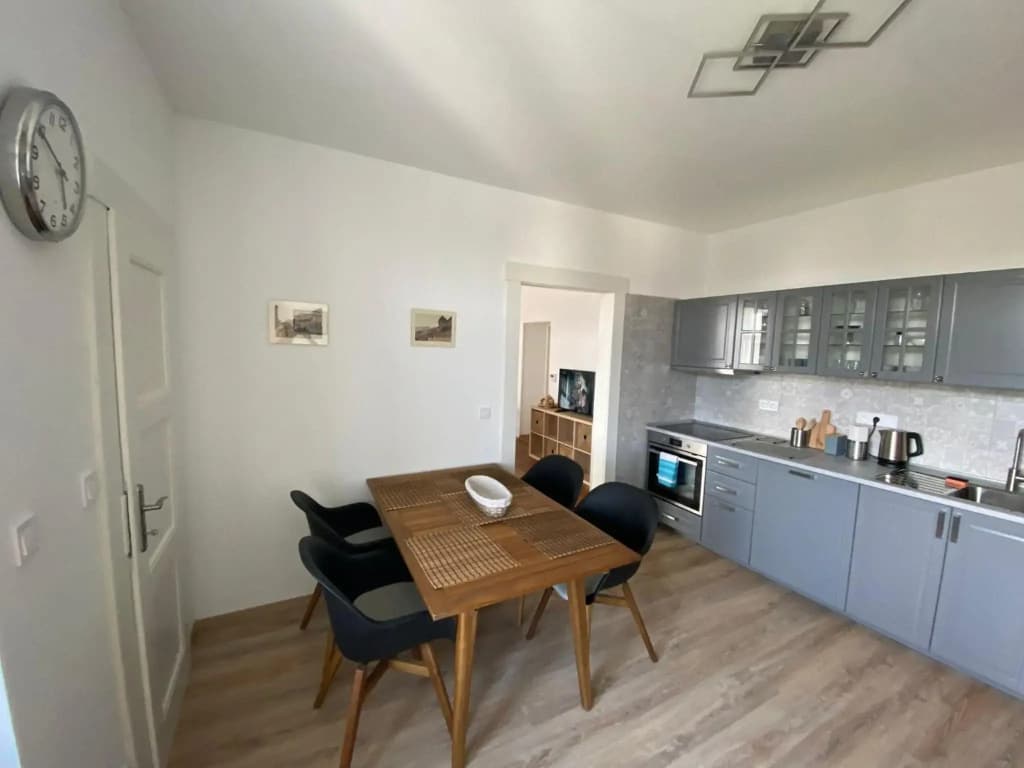Apartman Xaveriova - photo 13