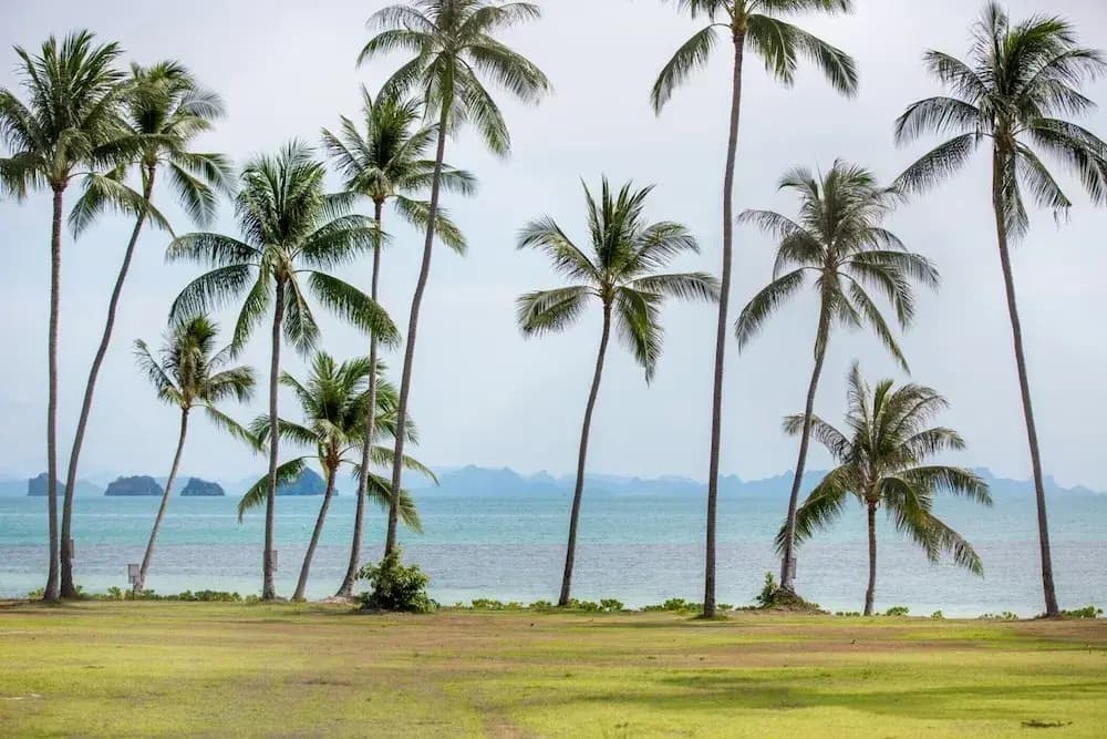 Villa Lipa Talay Sawng - photo 31