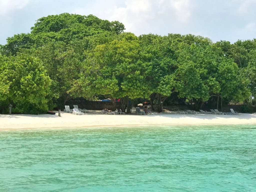 Yonder Retreat Folhudhoo - photo 18