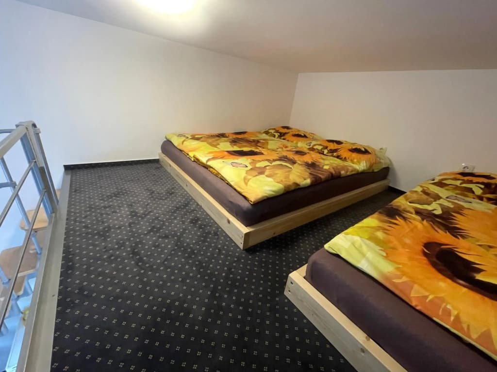 Pension Hajek - photo 10
