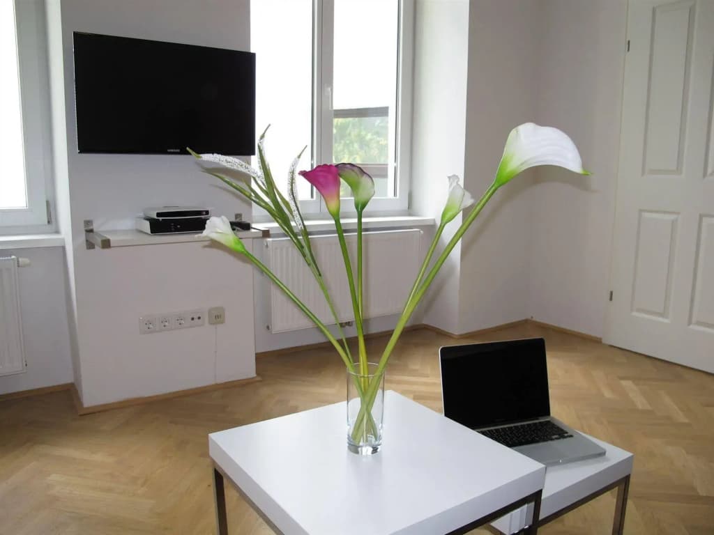 Central Vienna-Living Premium Suite - photo 9