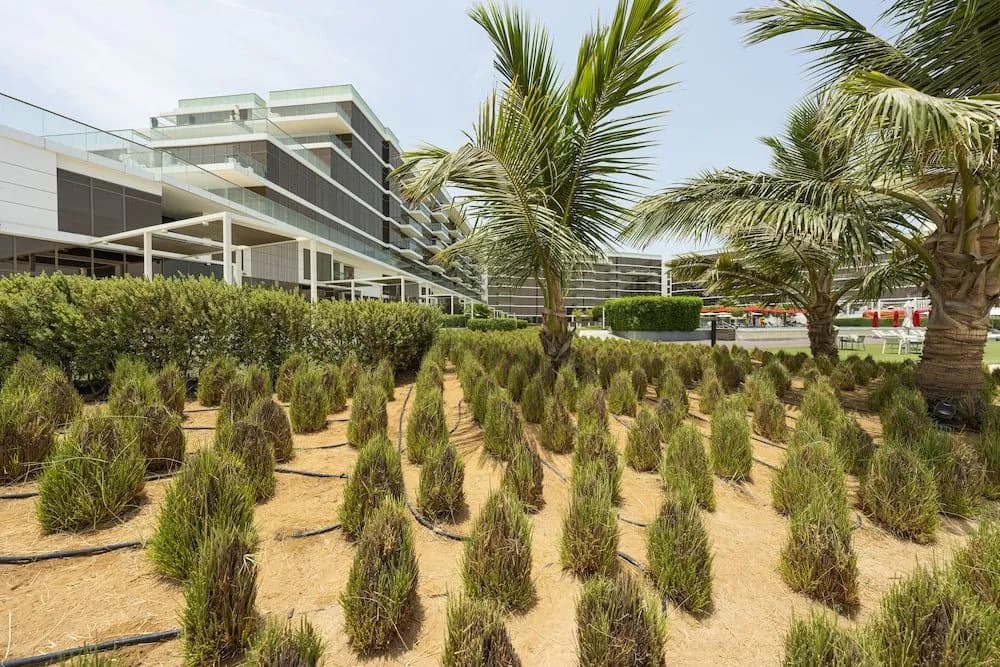 Spacious beachfront 2 bedroom apartment - photo 15