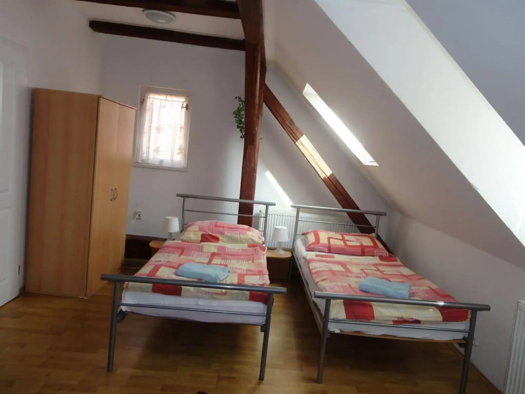 Pension Tara - photo 4