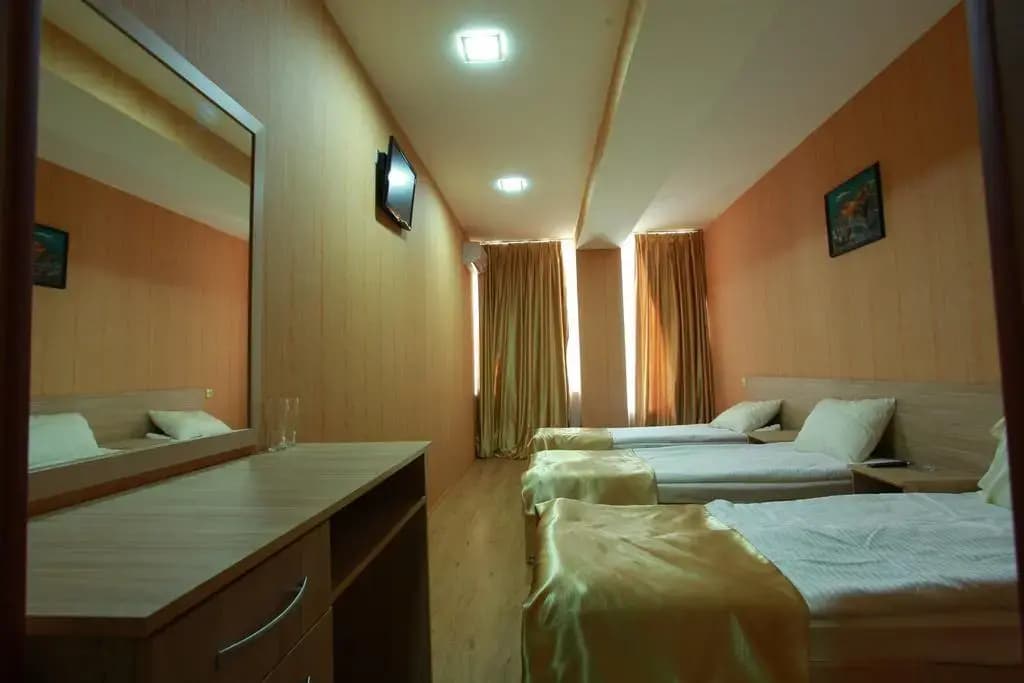 Arena Hotel - photo 5